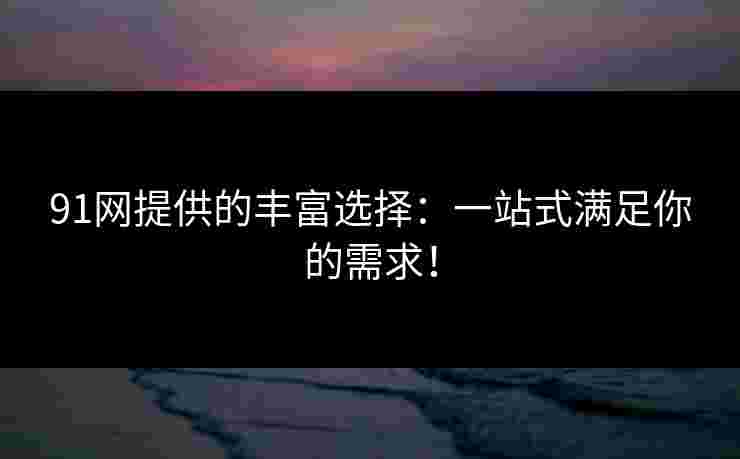91网提供的丰富选择：一站式满足你的需求！